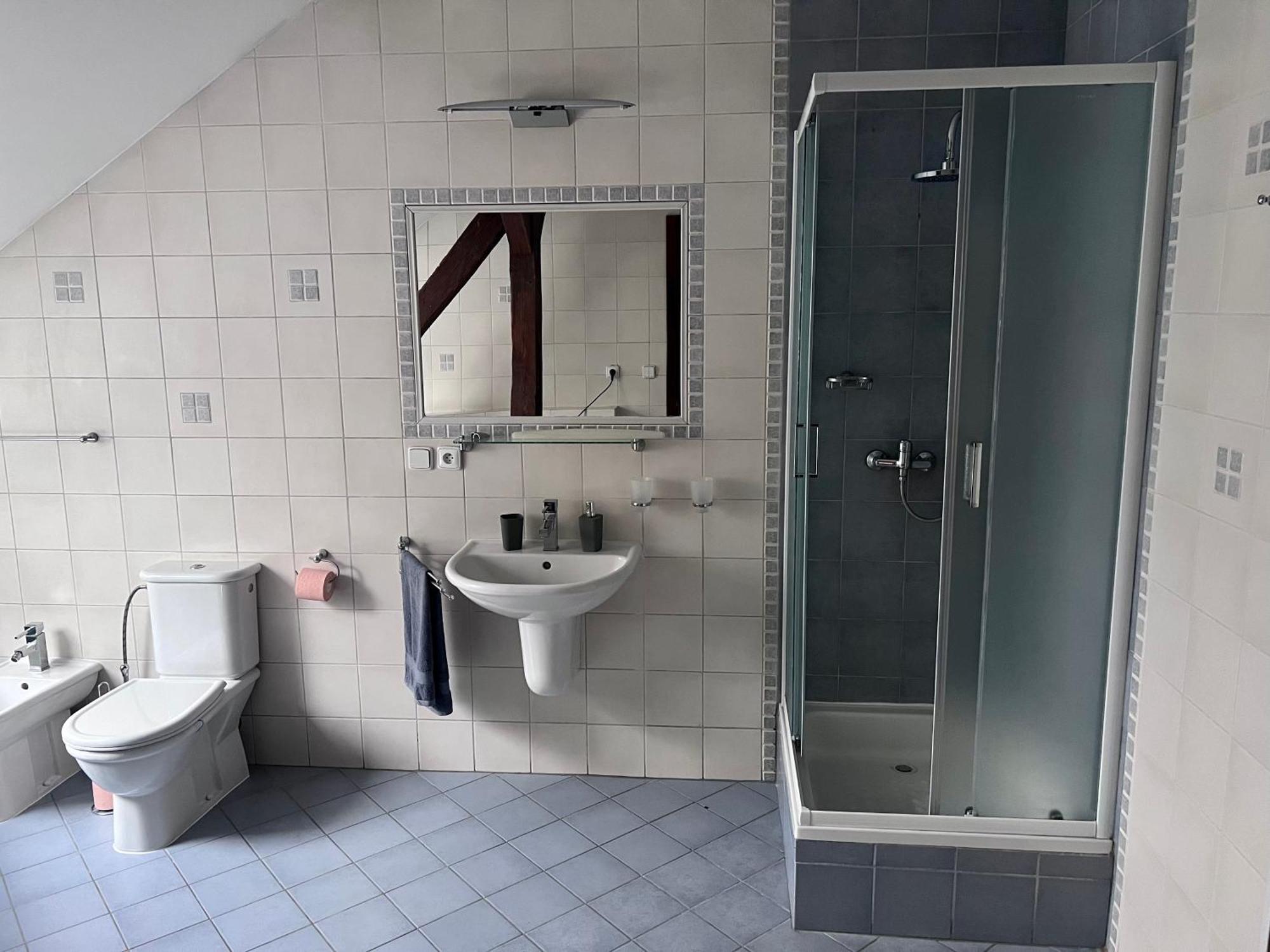 Velky Podkrovni Mezonet 100m2 * Ústí nad Labem