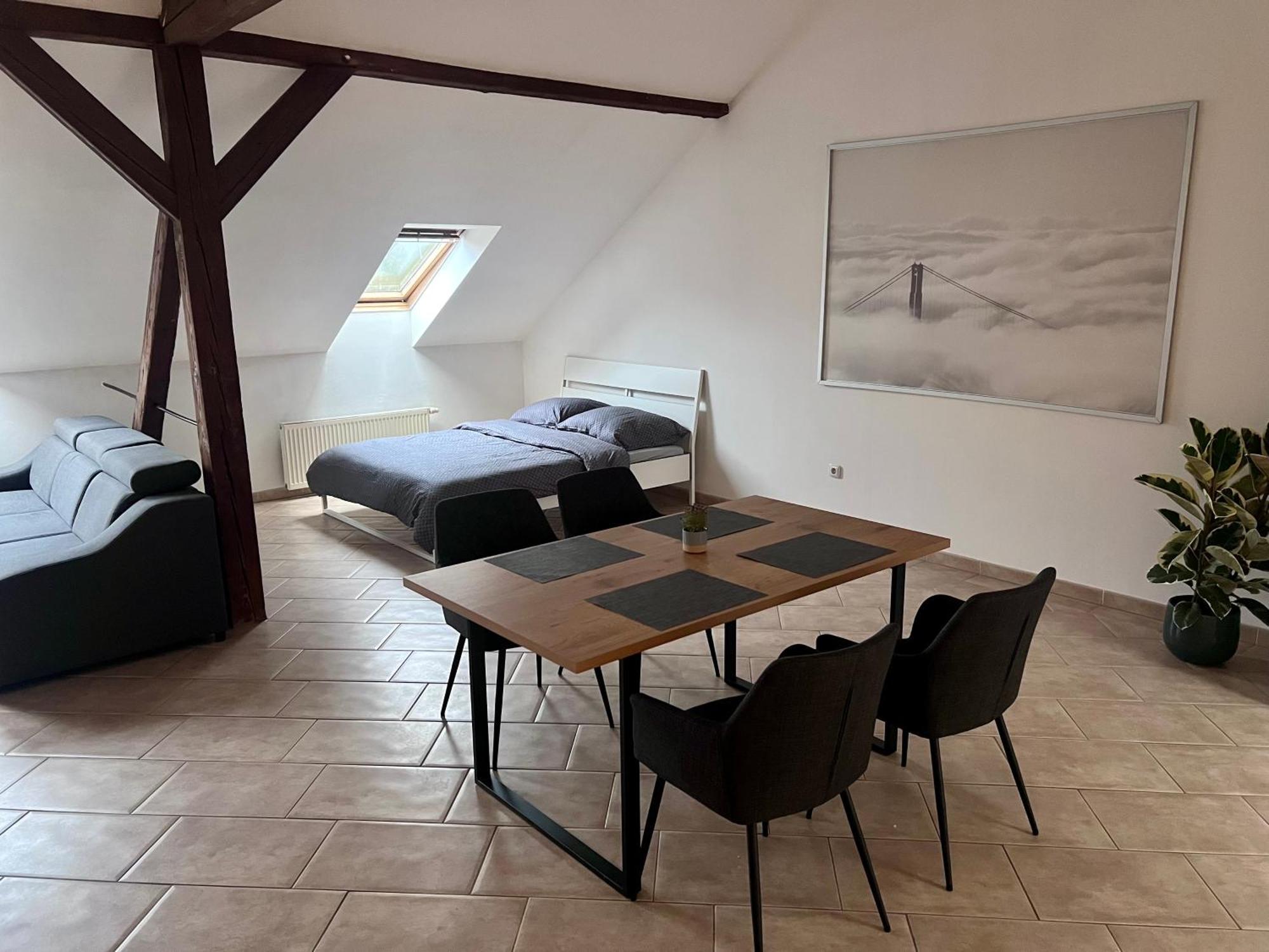 Velky Podkrovni Mezonet 100m2 公寓 Ústí nad Labem